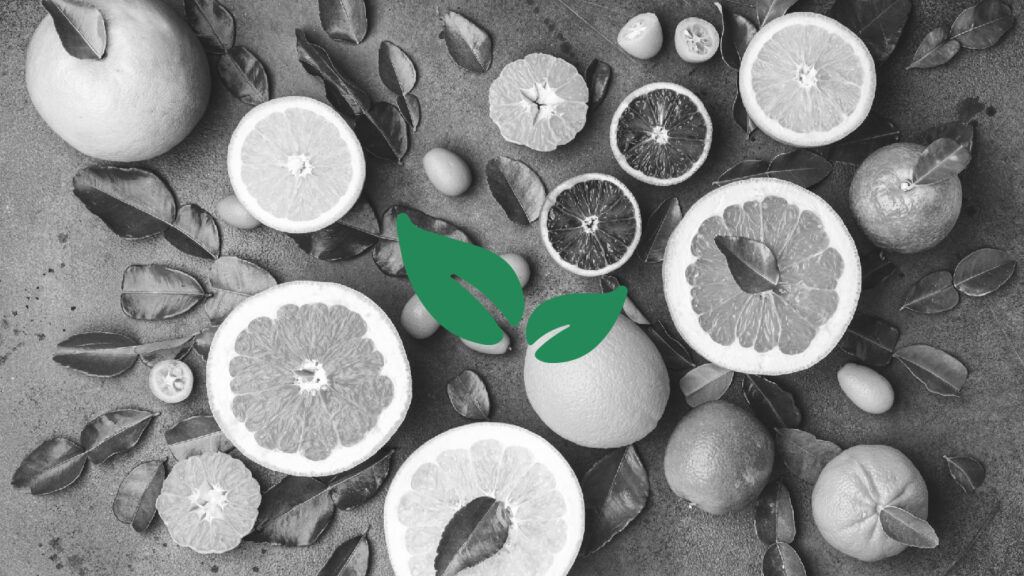 CharteCDD_Plan de travail 1 copie